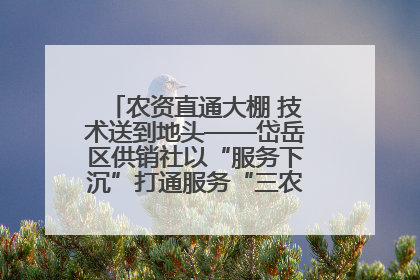 农资直通大棚 技术送到地头——岱岳区供销社以“服务下沉”打通服务“三农”最后一公里