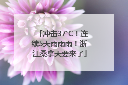 冲击37℃！连续5天雨雨雨！浙江桑拿天要来了