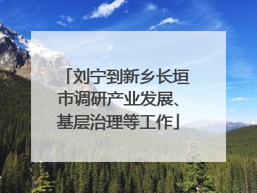 刘宁到新乡长垣市调研产业发展、基层治理等工作