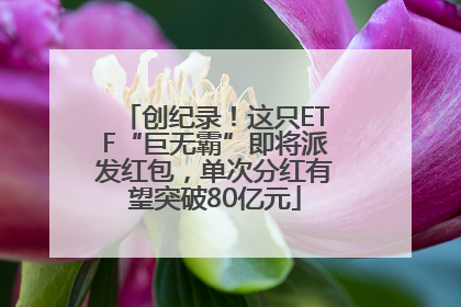 创纪录！这只ETF“巨无霸”即将派发红包，单次分红有望突破80亿元