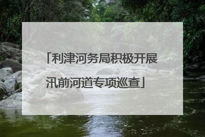 利津河务局积极开展汛前河道专项巡查