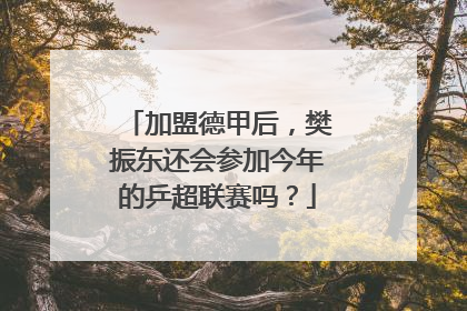 加盟德甲后，樊振东还会参加今年的乒超联赛吗？
