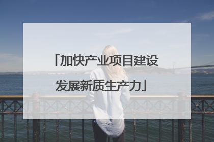 加快产业项目建设 发展新质生产力
