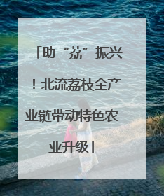 助“荔”振兴！北流荔枝全产业链带动特色农业升级