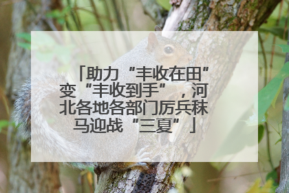 助力“丰收在田”变“丰收到手”，河北各地各部门厉兵秣马迎战“三夏”