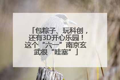 包粽子、玩科创，还有3D开心乐园！这个“六一”南京玄武很“哇塞”