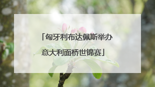 匈牙利布达佩斯举办意大利面桥世锦赛