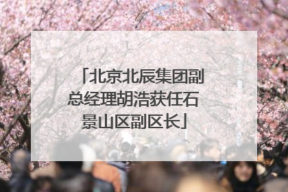 北京北辰集团副总经理胡浩获任石景山区副区长
