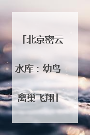北京密云水库：幼鸟离巢飞翔