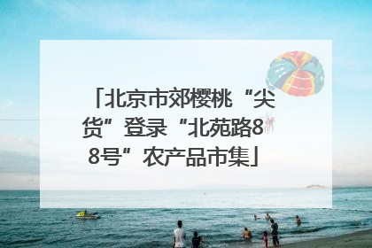 北京市郊樱桃“尖货”登录“北苑路88号”农产品市集