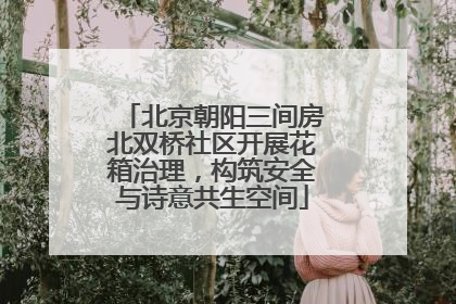 北京朝阳三间房北双桥社区开展花箱治理，构筑安全与诗意共生空间