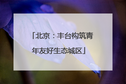 北京：丰台构筑青年友好生态城区