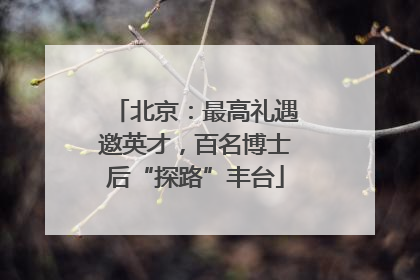 北京：最高礼遇邀英才，百名博士后“探路”丰台