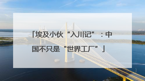 埃及小伙“入川记”：中国不只是“世界工厂”