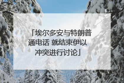 埃尔多安与特朗普通电话 就结束伊以冲突进行讨论