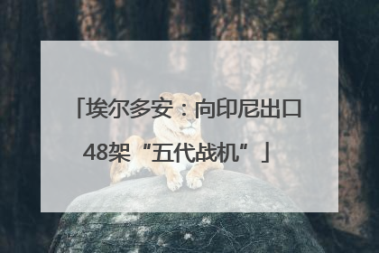 埃尔多安：向印尼出口48架“五代战机”