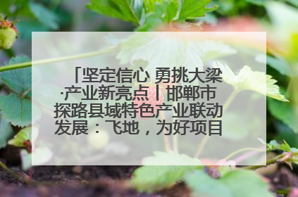坚定信心 勇挑大梁·产业新亮点丨邯郸市探路县域特色产业联动发展：飞地，为好项目跨域安个家