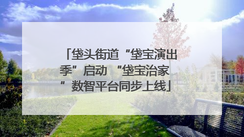 垡头街道“垡宝演出季”启动 “垡宝治家”数智平台同步上线