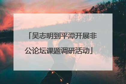 吴志明到平潭开展非公论坛课题调研活动