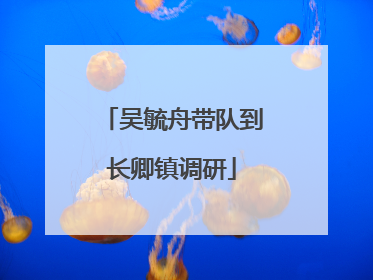 吴毓舟带队到长卿镇调研