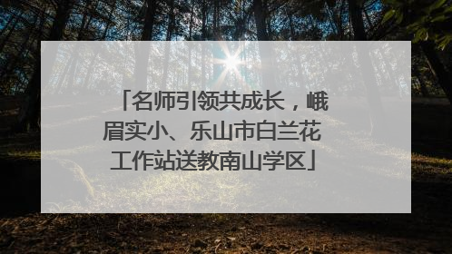名师引领共成长，峨眉实小、乐山市白兰花工作站送教南山学区