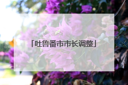吐鲁番市市长调整