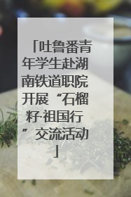 吐鲁番青年学生赴湖南铁道职院开展“石榴籽·祖国行”交流活动