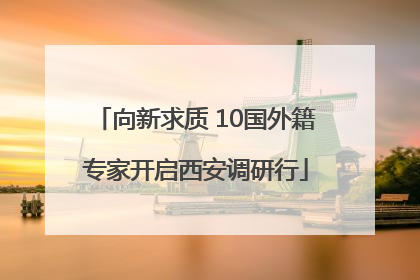 向新求质 10国外籍专家开启西安调研行