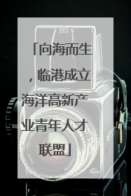 向海而生，临港成立海洋高新产业青年人才联盟