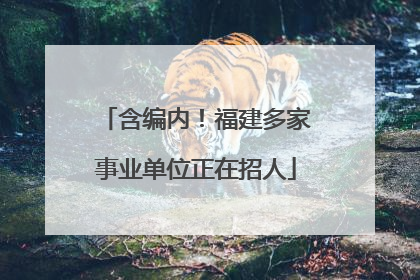 含编内！福建多家事业单位正在招人