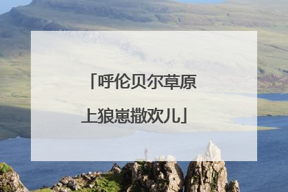 呼伦贝尔草原上狼崽撒欢儿