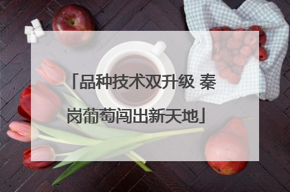 品种技术双升级 秦岗葡萄闯出新天地