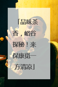 品味茶香，峪谷探秘！来保康觅一方清凉