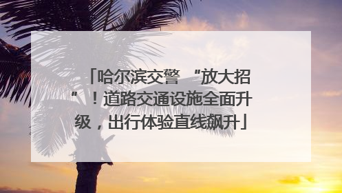哈尔滨交警 “放大招”！道路交通设施全面升级，出行体验直线飙升