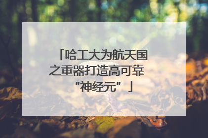 哈工大为航天国之重器打造高可靠“神经元”