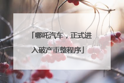 哪吒汽车，正式进入破产重整程序