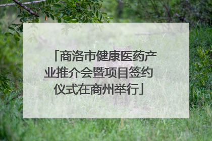 商洛市健康医药产业推介会暨项目签约仪式在商州举行