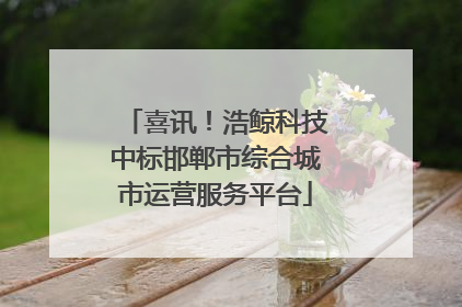喜讯！浩鲸科技中标邯郸市综合城市运营服务平台