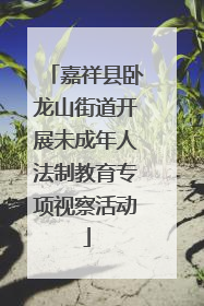 嘉祥县卧龙山街道开展未成年人法制教育专项视察活动