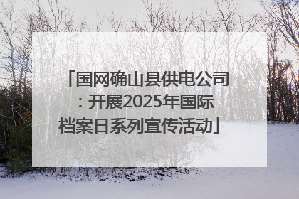 国网确山县供电公司：开展2025年国际档案日系列宣传活动