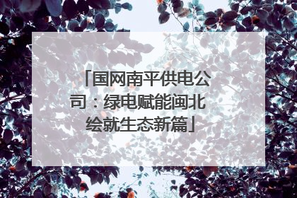 国网南平供电公司：绿电赋能闽北 绘就生态新篇
