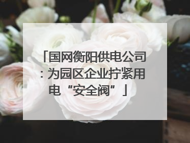 国网衡阳供电公司：为园区企业拧紧用电“安全阀”