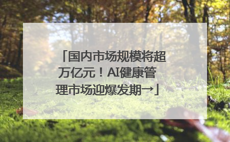 国内市场规模将超万亿元！AI健康管理市场迎爆发期→