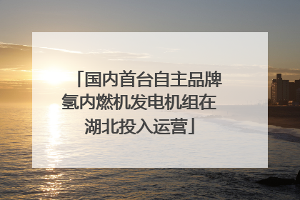 国内首台自主品牌氢内燃机发电机组在湖北投入运营