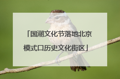 国潮文化节落地北京模式口历史文化街区