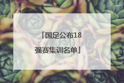 国足公布18强赛集训名单