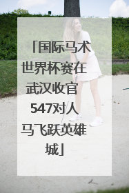 国际马术世界杯赛在武汉收官 547对人马飞跃英雄城