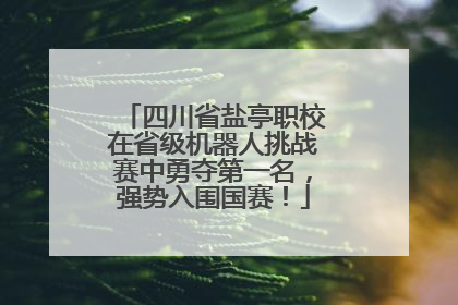 四川省盐亭职校在省级机器人挑战赛中勇夺第一名，强势入围国赛！