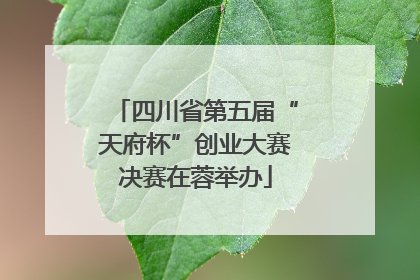 四川省第五届“天府杯”创业大赛决赛在蓉举办