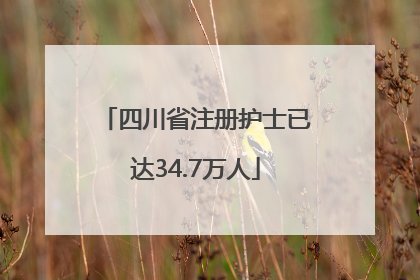 四川省注册护士已达34.7万人